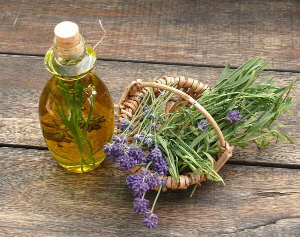 Olive oil lavender