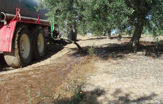 Management of liquid waste from oil mills through its application in olive groves